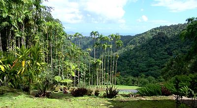 “Jardins remarquables” : 3 nouveaux jardins de la Martinique labellisés