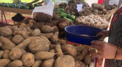 Importation de fruits et légumes : près de 400 kilos de marchandise illégale détruits