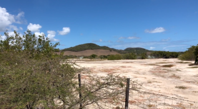 Les Salines de la Martinique : une déclaration de droits pour protéger un écosystème unique