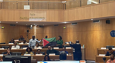 Le drapeau Rouge-Vert-Noir historique adopté officiellement par l’Assemblée de Martinique