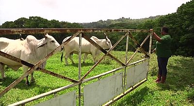 Echos Métiers : la Minute Conseil Agriculteurs