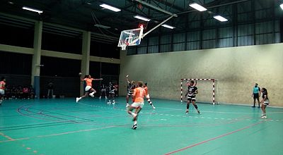 video | Handball : les premiers résultats de la 16ème journée du championnat de Pré Nationale