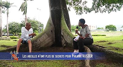 Les abeilles n’ont plus de secrets pour philippe