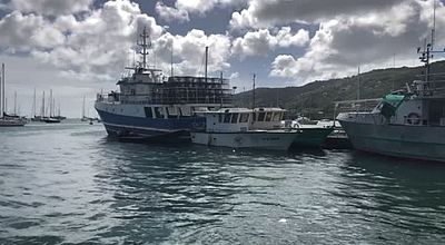 16,2millions d'euros pour aider la flotte de navires de pêche en Martinique