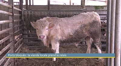 Ports bloques: la viande locale prend le relais