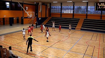 video | Sport : basket, hand et volley au programme