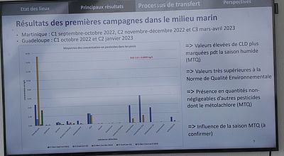 Chlordécone : mieux comprendre ses impacts et proposer des solutions