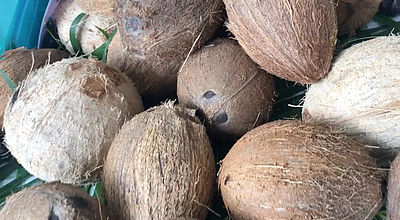 Saint-Joseph : le coco à toutes les sauces
