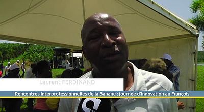 Rencontres Interprofessionnelles de la Banane : journée d'innovation au François