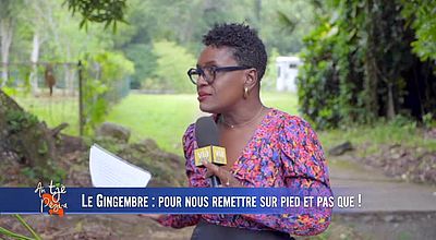 video | Le gingembre : pour nous remettre sur pied et pas que!