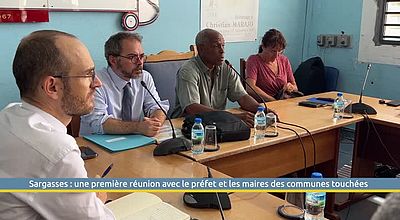 Sargasses : une première réunion avec le préfet et les maires des communes touchées