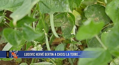 Ludovic Hervé Bertin a choisi la terre