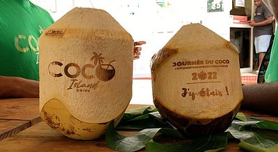 Journée du Coco : valorisation de l'agro-transformation et de l'écoresponsabilité