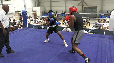 Martinique Boxing Show : bonne prestation des Martiniquais