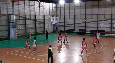 Basket : le dur apprentissage de l'élite pour les robertins