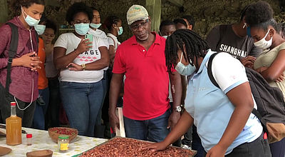 Lycée agricole : à la découverte du cacao