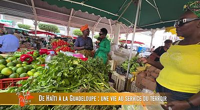 De Haiti à la Guadeloupe : une vie au service du terroir.