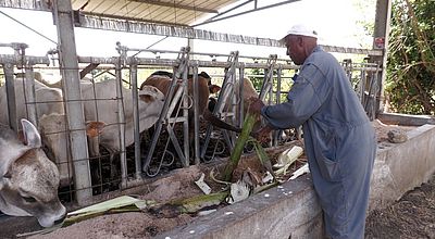 video | Carême : les agriculteurs se préparent