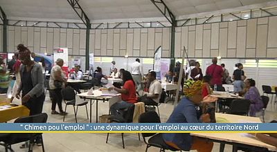 " Chimen pou l'emploi " : une dynamique pour l'emploi au cœur du territoire Nord