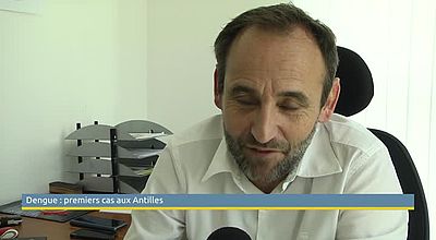 Dengue : premiers cas aux Antilles