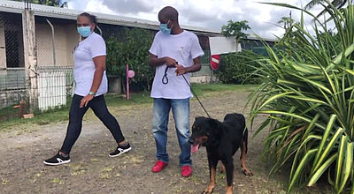 Les jeunes de Martinique Autisme cajolent les animaux de la SPA