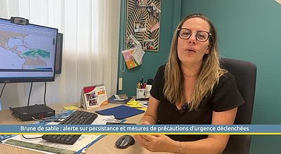 Brune de sable : alerte sur persistance et mesures de précautions d'urgence déclenchées
