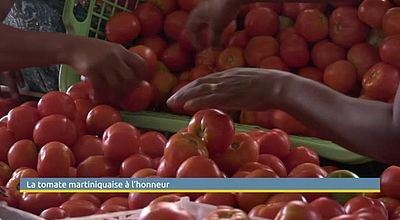 La tomate martiniquaise à l’honneur