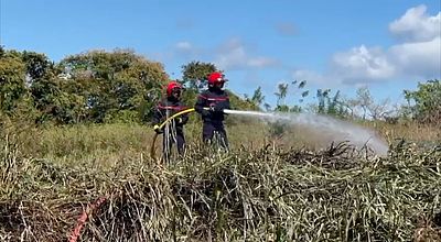 video | Feux de broussaille : les interventions en forte augmentation pour les pompiers