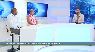 Solidarité : des chevaux au cœur d'une opération caritative
