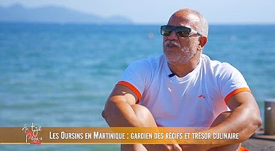 Les oursins en Martinique: gardien des récifs et trésor culinaire.
