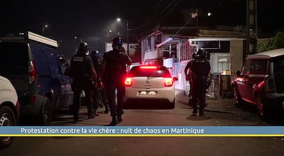 Protestation contre la vie chère : nuit de chaos en Martinique