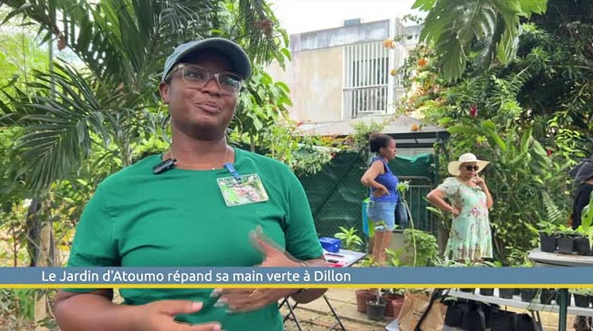 Le Jardin d'Atoumo répand sa main verte à Dillon