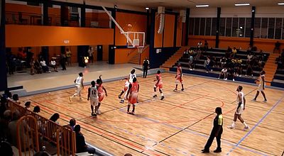 Sport : les temps forts du week-end