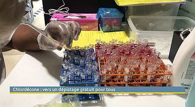 Chlordécone : vers un dépistage gratuit pour tous