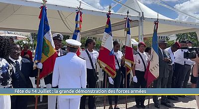 Fête du 14 Juillet : la grande démonstration des forces armées
