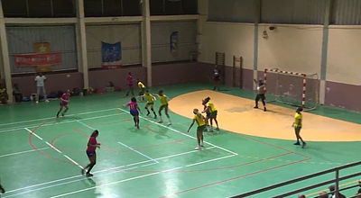 Sport : handball et volleyball au programme