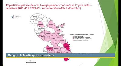 la Martinique en pré alerte épidémie dengue