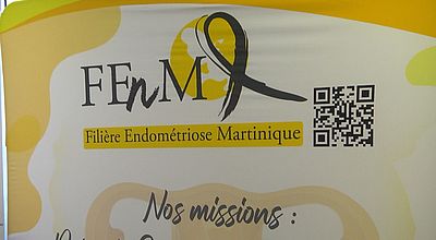 video | FEnM : une plateforme pour les femmes atteintes de l'endométriose