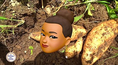 La Martinique dans l'assiette - 300525