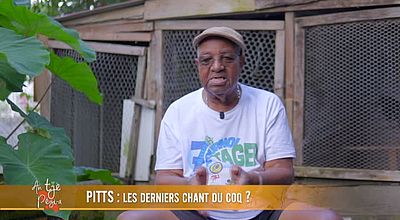 Pitts: les derniers chant du coq?