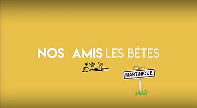 Nos amis les bêtes du 05.11.22