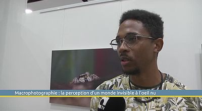 Macrophotographie : la perception d'un monde invisible à l'oeil nu