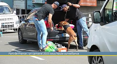 Fort-de-France : un carnaval 2025 sous haute surveillance