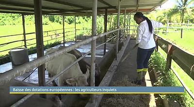 Aides européennes : l'inquiétude des agriculteurs