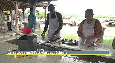 La météo ralentit l'activité des pêcheurs
