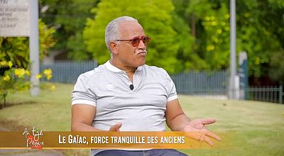 Le Gaïac ,la force traquille des anciens.