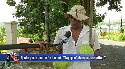 Quelle place à le Fruit à Pain dans nos assiettes ?