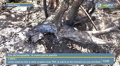Feu de broussaille : le maire de Saint-Pierre porte plainte