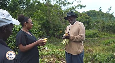 La Martinique dans l'assiette - 200625