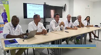 Sargasses : un projet pour évaluer l'impact sanitaire